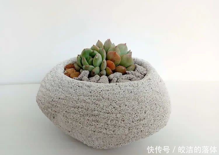 如莲似花,美好心情由你而始!