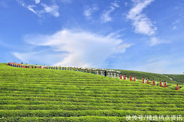 东至开放两条独特茶旅线路