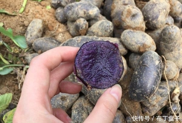  皮肤|女性过了45岁，不妨多食此物，改善气色，淡化皱纹，更显年轻