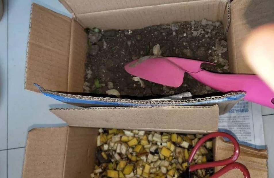 果皮|这种土是万能肥，养啥花都用得上，还不用操心烧根