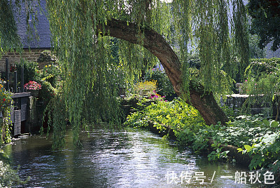 有钱人|两大生肖未来15天上有贵人，下有鸿运，运势大逆转，变成有钱人