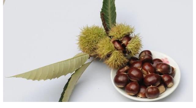 雄激素|男人提升“雄激素”的3种食物，每天泡水喝，肾如小蛮牛！