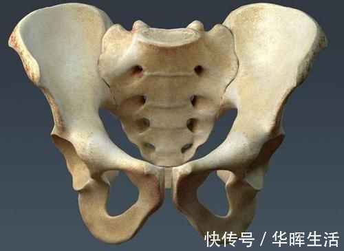 顺产|分娩快慢跟什么因素有关?准妈妈都该了解,这样才是最佳顺产姿势