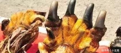 文玩界|"文玩市场上看到这几个摊位,千万不要靠近"