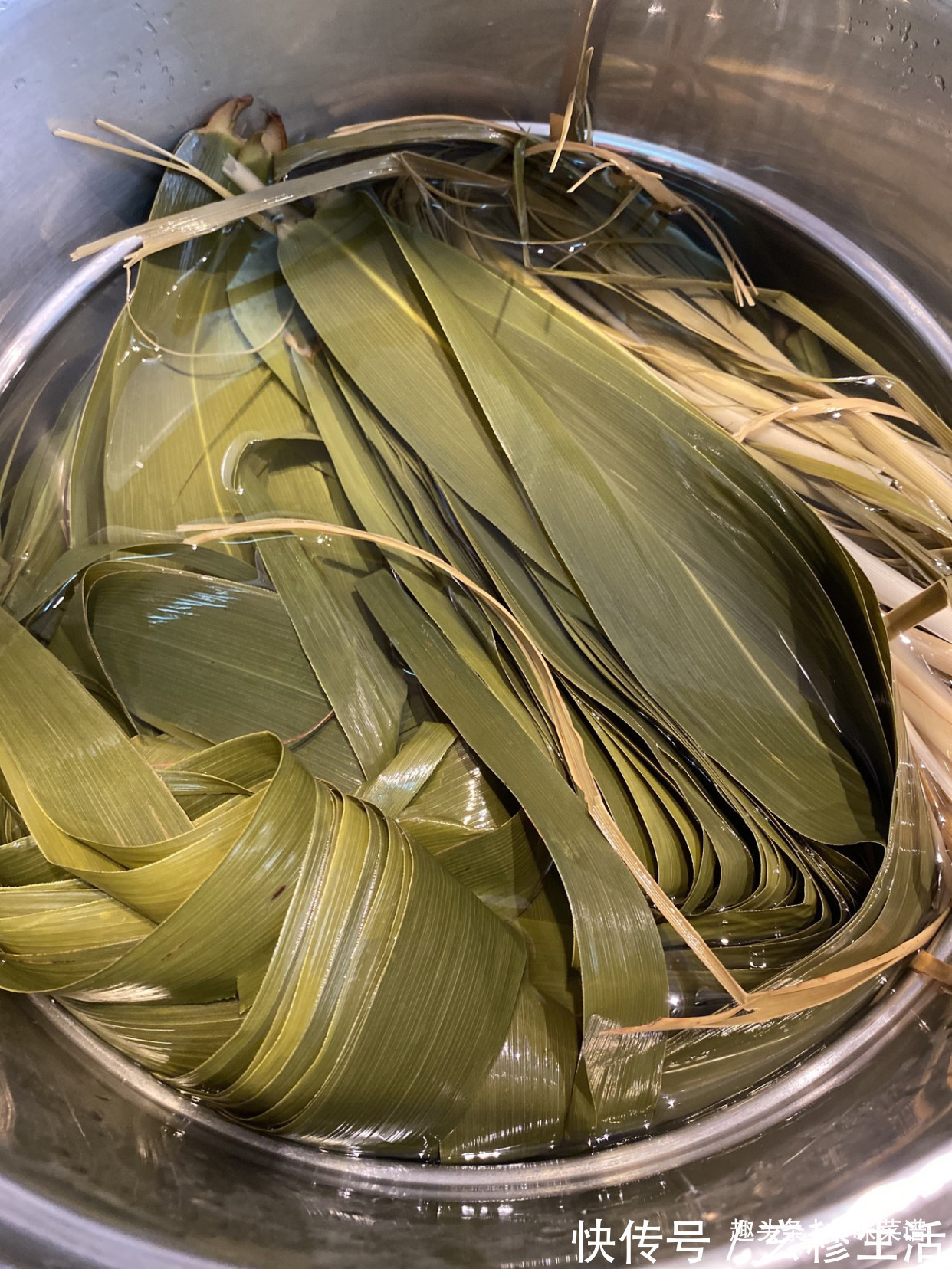 一个晚上|北方经典粽子红枣馅、红豆馅，香甜软糯，零失败教学，上桌秒光盘