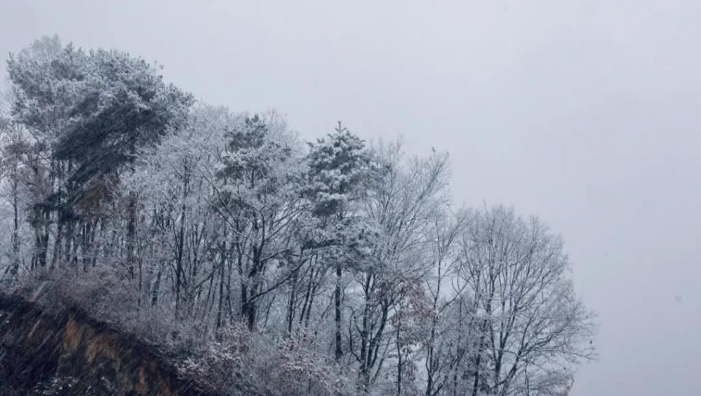 县区|初雪！周边县区雪景美图来袭！