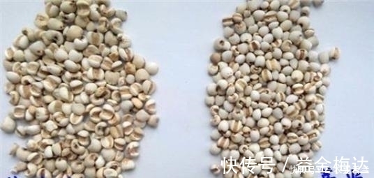 珠子|农家房前屋后一种驯化有近万年历史的野草, 却是农村女孩子的最爱