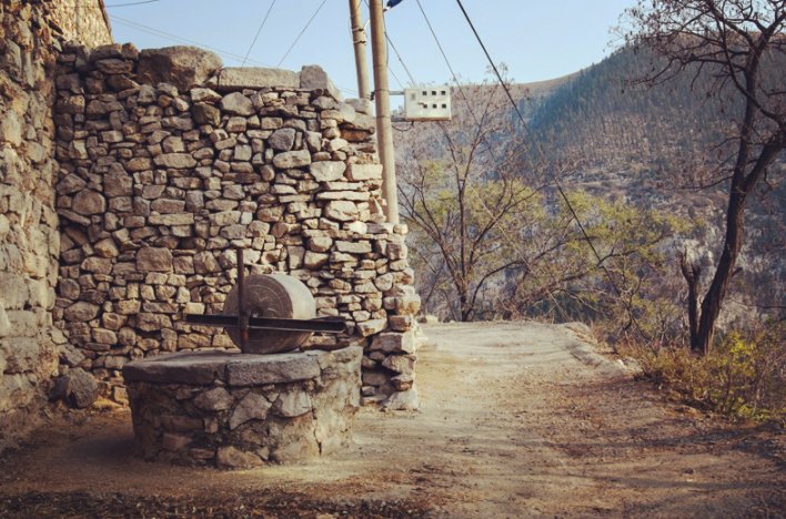 花开时节|刘维祥专栏｜二肯吃