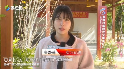 【沿着公路看惠州】罗阳：乡村产业从无到有 农旅融合带动“美丽经济”