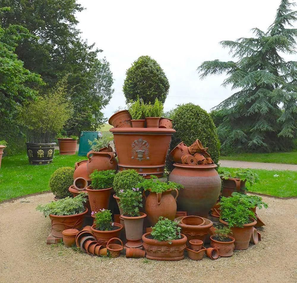  看完这个，想把家里花盆丢了