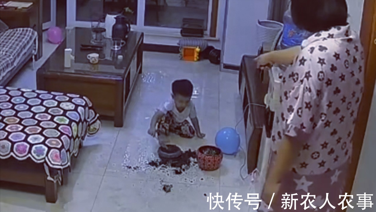 萌娃|河北一萌娃火了,犯了错直接脱裤子躺沙发上等待惩罚!网友:惯犯