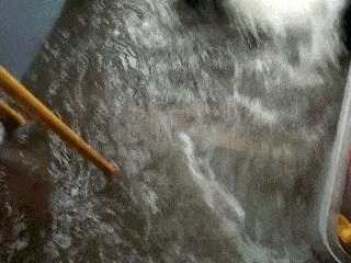 |搞笑GIF笑话:还好没人看到,继续喝我的八二年咖啡