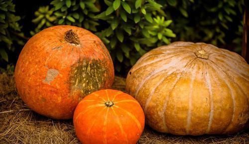 长寿|人到中年想长寿,可以坚持吃3种食物,补足气血,身体棒棒哒!