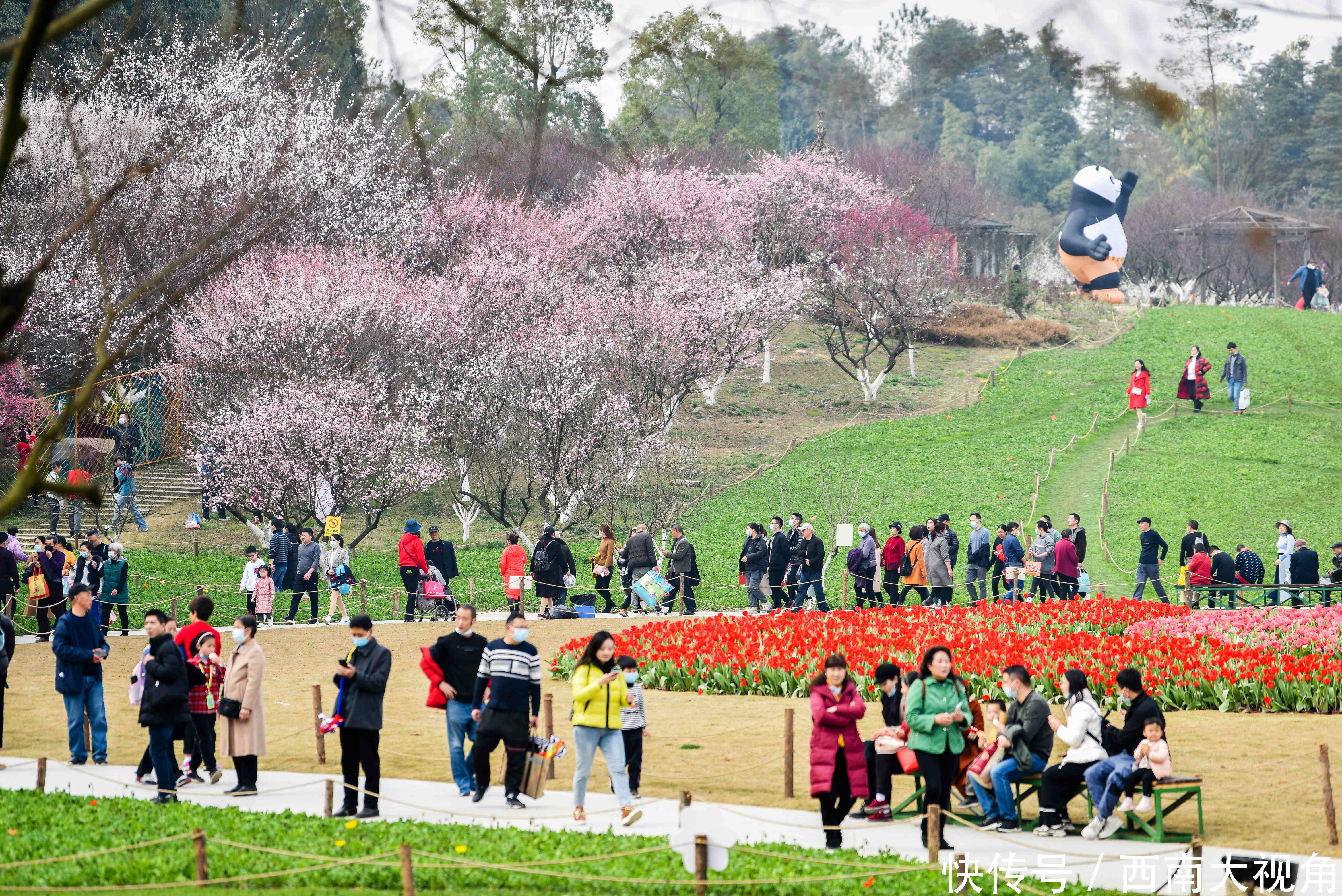 大年初一,秀丽东方风景如画、游人如织 再次提醒大家,请一定要提前一天转发和预约哦