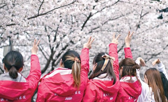 再邀援鄂医护“回珈”赏樱|Second cherry blossoms event for medics | 医护