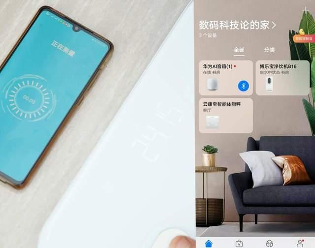对比|百元智能体脂秤对比：云康宝Yolanda VS 华为 CH18