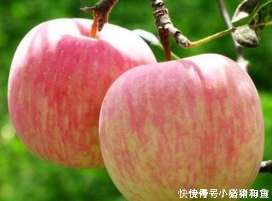 皱纹|苹果和此物一起煮,每天一碗,脂肪没了,淡化皱纹,越来越年轻