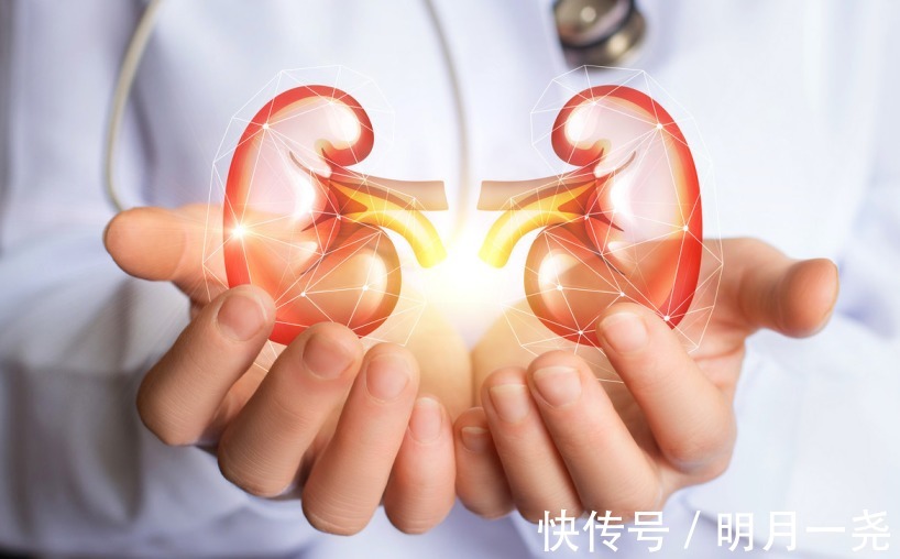 尿毒症|尿毒症都是自己吃出来的!平时少碰3种食物,肾脏会感谢你