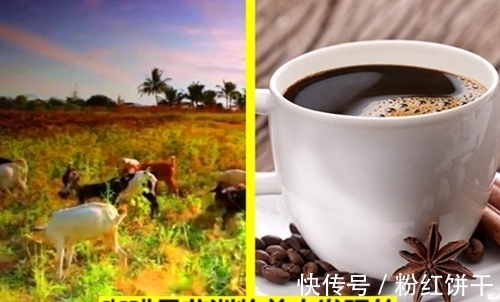 冷知识普及：12个存在的有趣事实，但很多人也许并不清楚