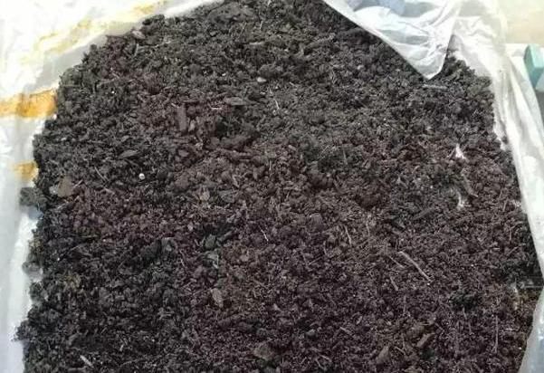 不知道如何利用''旧土''那就加点料吧，保证盆栽土变肥沃
