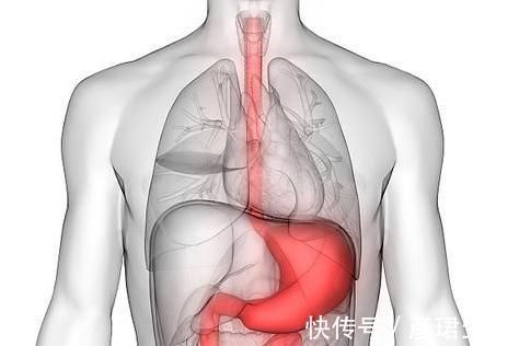 一日三餐|养胃的5个习惯,胃病见了绕道走,赶紧学起来,胃部更健康