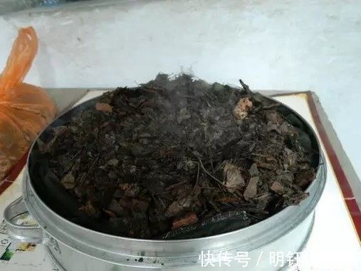 物理性质|兰花土里加1样东西，更适合兰花的生长，盆栽养10年都根壮叶绿