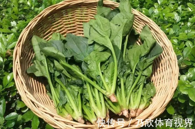 雌激素|皮肤科主任：黄褐斑就怕1种“零食”，每天吃点，皮肤更细腻