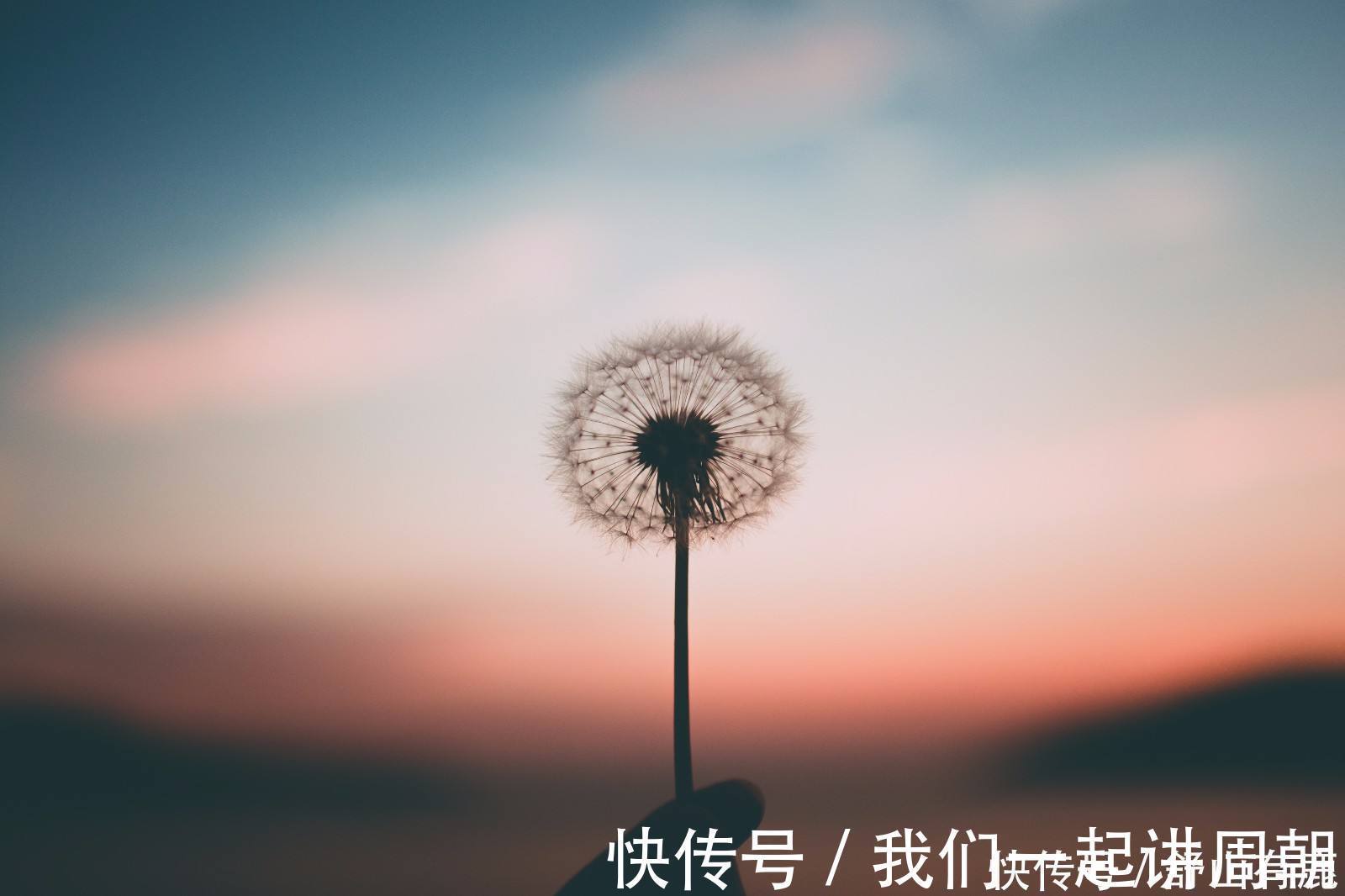 境界$人生四大处世境界:大智不群,大善无帮,何惧孤步,何惧毁谤