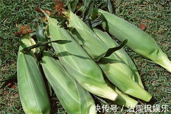 女性担心老得快，3种食物不放过，补血养血，祛风泻火，气色好了