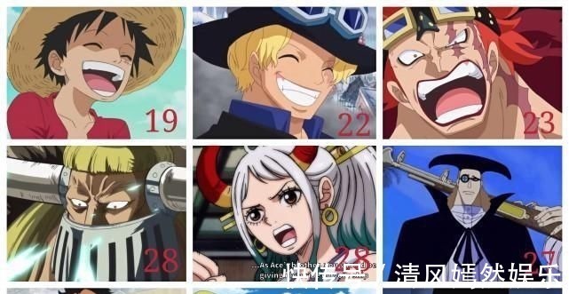 范奥卡|海贼人物年龄盘点,四皇大将级别40岁以下3人,50以上超过10人