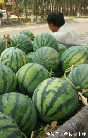 传统|立秋后,“少食1瓜,多吃3果”,老传统别忘记,精神好了睡眠足!