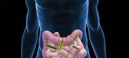  只用|万病的根源：腹部积聚！只用这一招，就能从根解决！