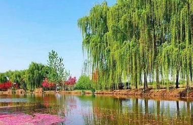 一本好书$南宋这首诗曾入选民国语文教材,开篇美不胜收,颔联寓意深远