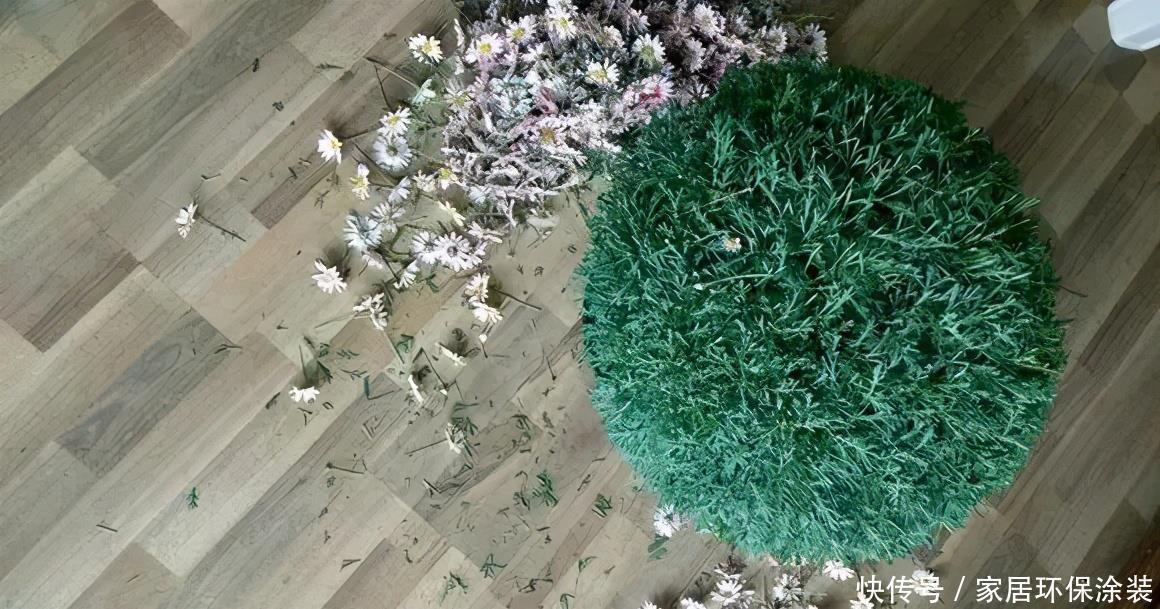 浇水|6种花,最怕热,30度就黄叶,再乱浇水,容易“烂根”