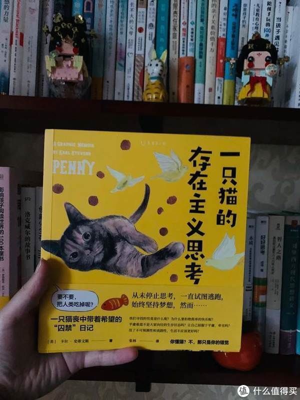 猫生|爆笑治愈的猫生漫画,你不是猫,你怎么知道猫怎么想?