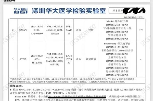 反位|长治市人民医院多技术手段联合诊断胎儿复杂结构畸形