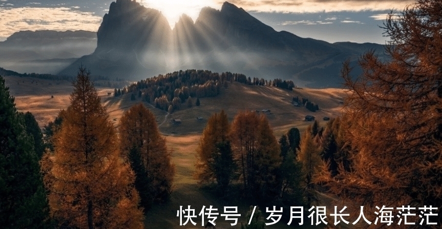 大盘点|狮子座大盘点,适合跟他们相处,而且想出来十分融洽的星座