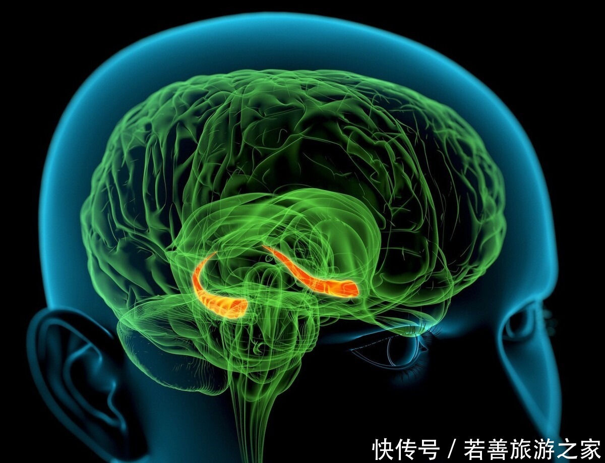 期记忆|孩子记忆力差怎么办家长做好这3事，提高记忆力，成绩蹭蹭长