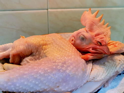 黄焖|咱们盼了这么久的冬笋,盼了一年,黄焖冬笋鸡