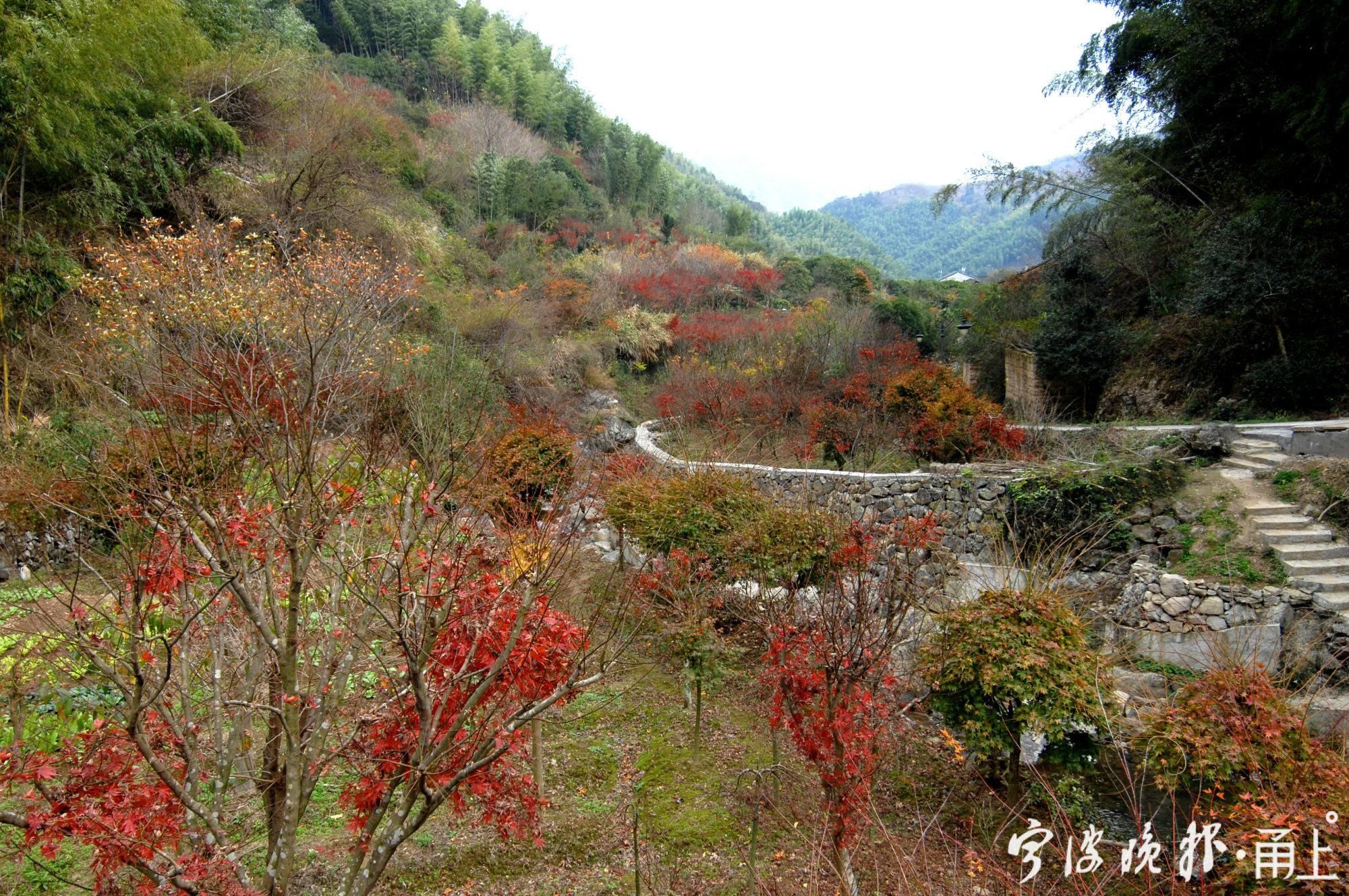  古道|霜叶、溪流、古道，宁波“唐诗之路”这几天美呆了