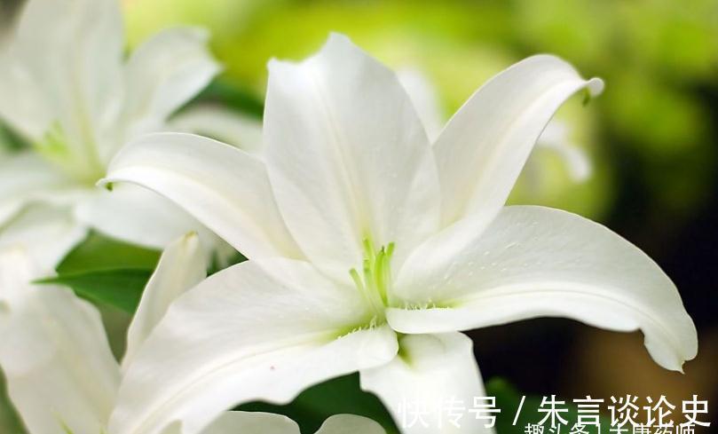 阴阳|秋分后,寒气渐重,遵循4条养生秘诀,平衡阴阳,全面增强抵抗力