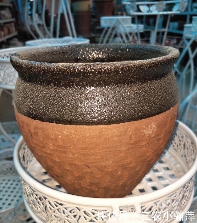 家中的花盆你选对了吗 每一种花盆都适合养什么, 千万不要乱用