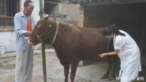  外国人：中国什么都吃，为什么不吃这种肉？网友：中国人也不敢吃