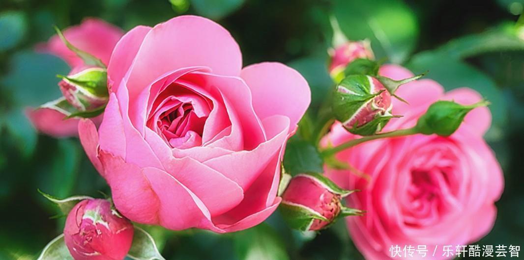 十二星座男|揭秘十二星座男分别会对具有什么优点的女生着迷