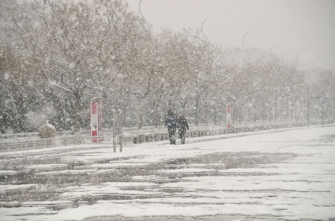 维生素c|今日大雪，读什么诗更浪漫？熬什么汤更养生？