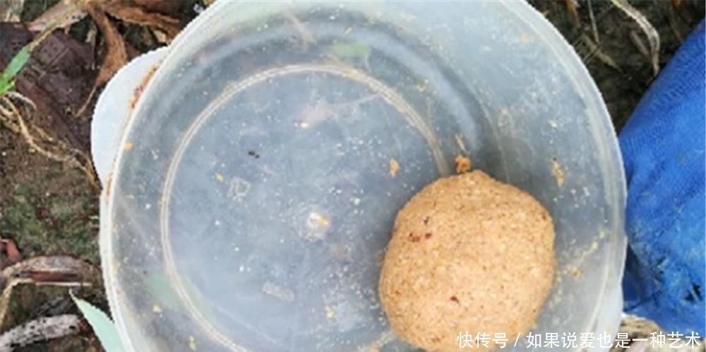 夏季|夏季钓鱼,鲜为人知的四个用饵技巧,饵料对了口,钓大鱼不是难事