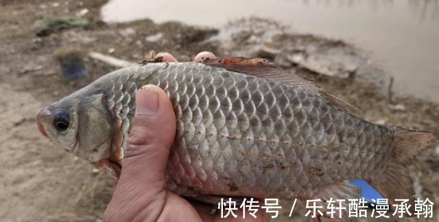 做好这几个细节,冬季也能“爆护”