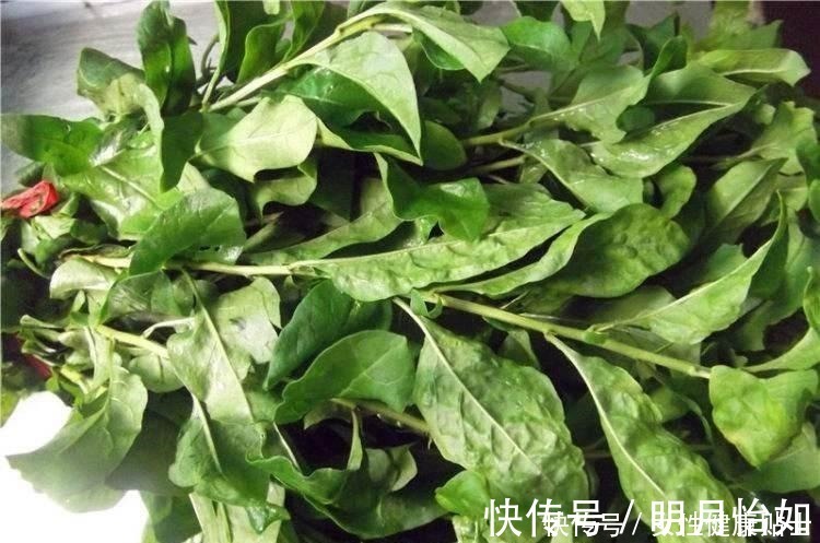 护肝王|“天然护肝王”被发现了,每周吃2次,相当于给肝脏“洗个澡”