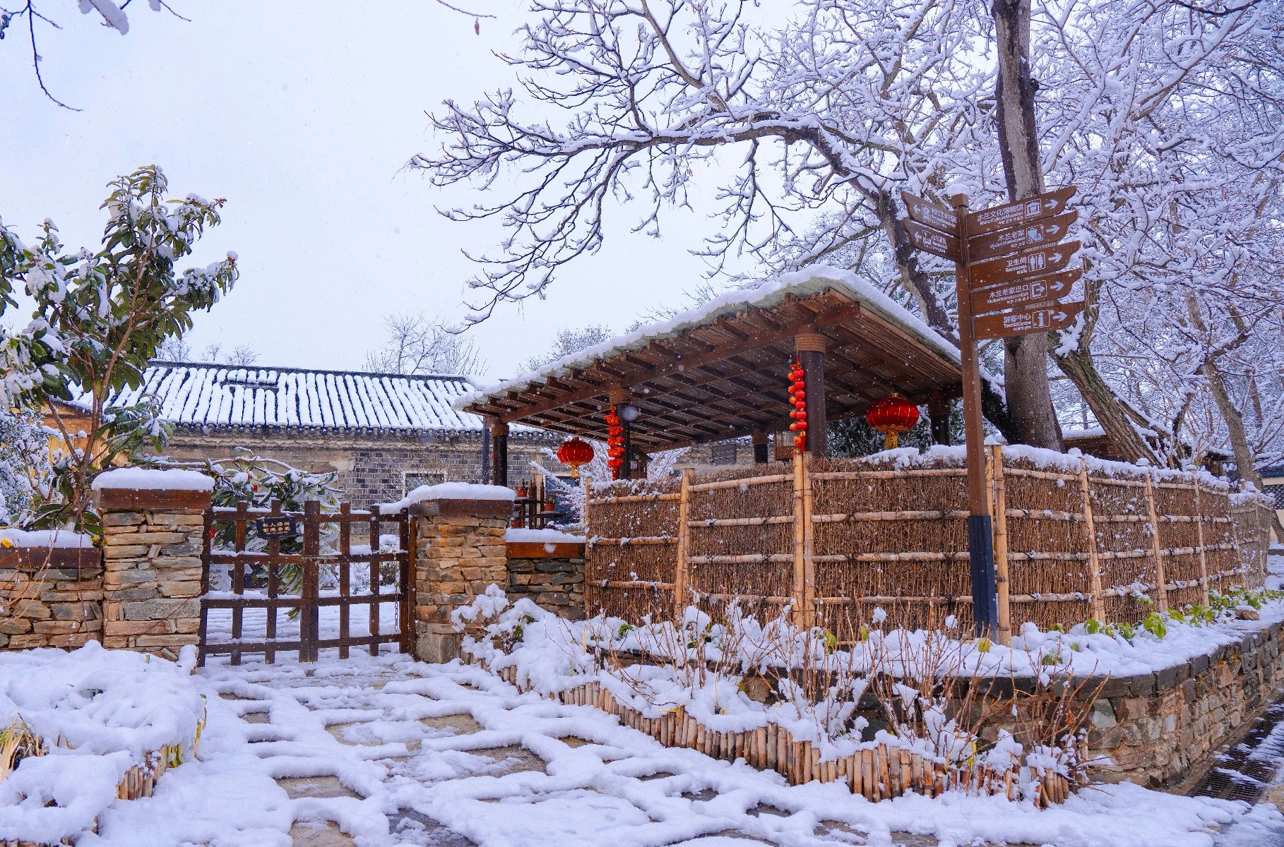 虎年|登高、赏花、打雪仗……来解锁虎年的N种“赏雪姿势”