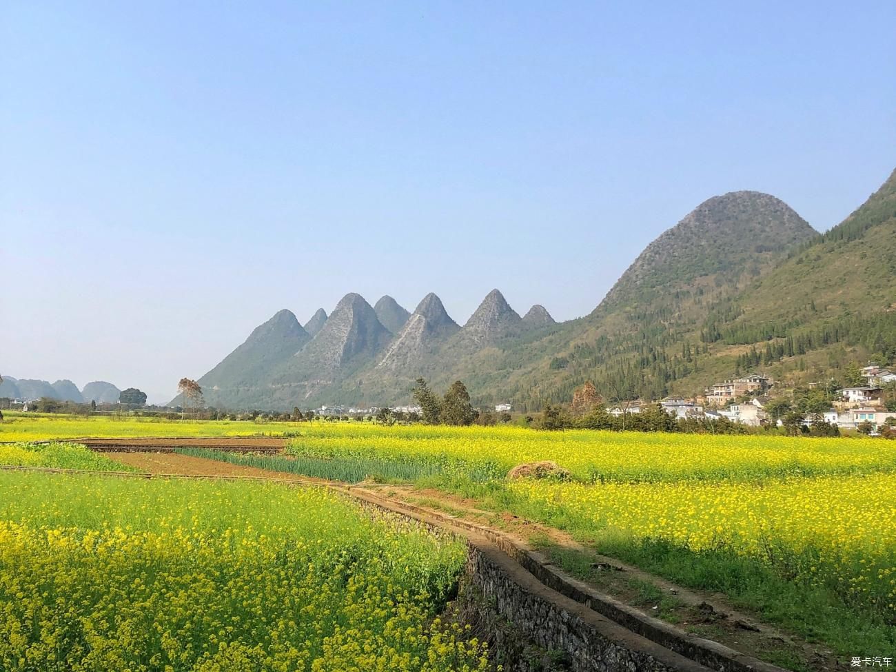 天下山峰何其多，唯有此处峰成林